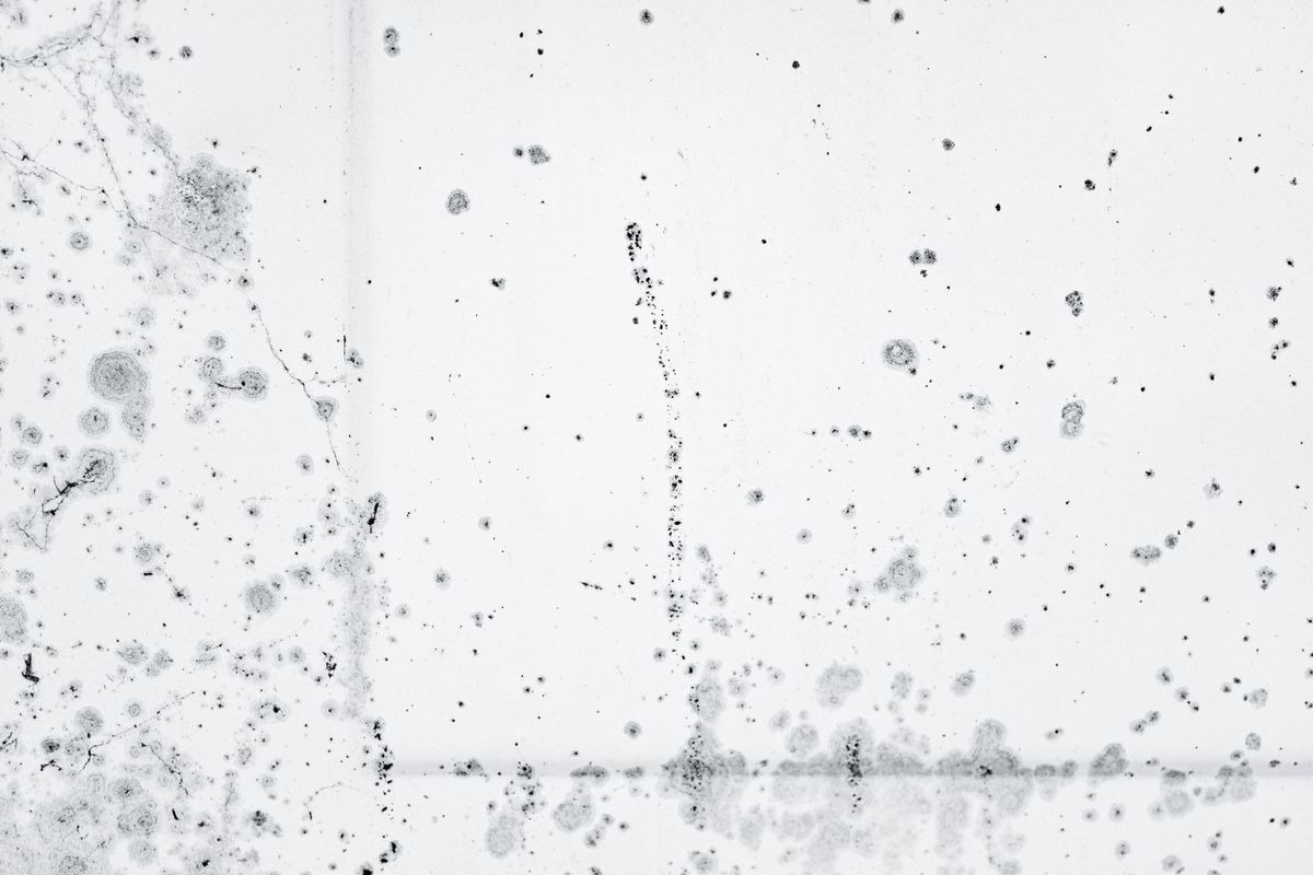 Water damage restoration in Catasauqua, PA